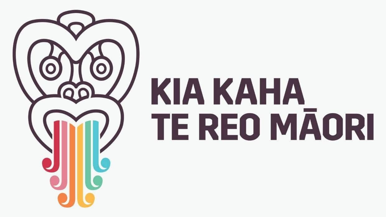 Te Kakano o te Reo Maori Beginners Part 1