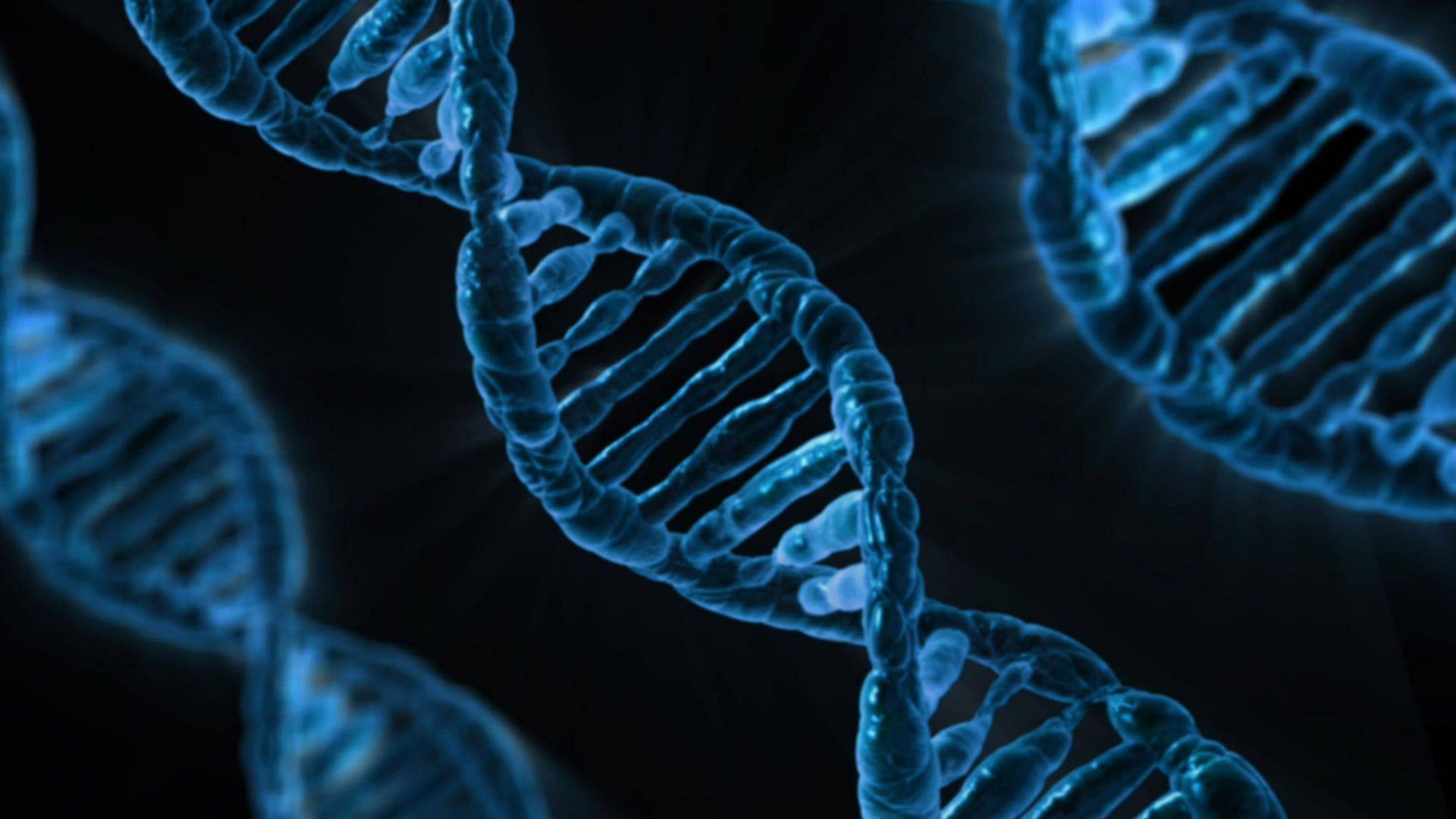 Genetic Genealogy Research - Beginners Course